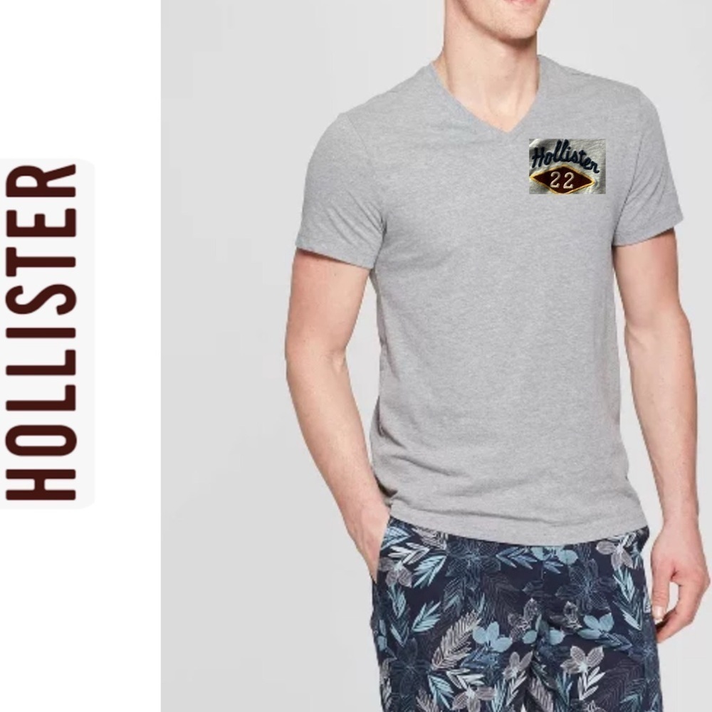 Hollister Gray Men's V-Neck T-Shirt L